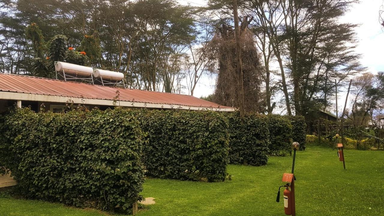Hippo Safaris Resort Naivasha Exteriér fotografie